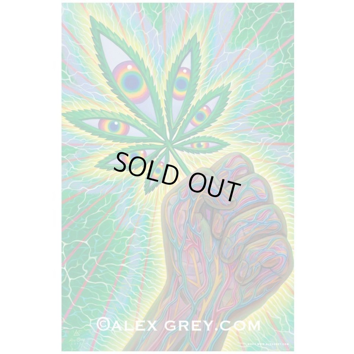 画像1: ALEX GREY ステッカー「Cannafist」 (1)