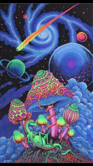SPACE TRIBE - PSYCHEDELIC GARDEN (Page 1)