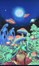 画像1: SPACE TRIBEバティック 1.2m × 2m「Alien Shrooms」 (1)