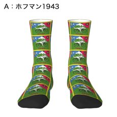 画像2: HOFMANN SOCKS 靴下 (2)