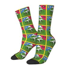 画像5: HOFMANN SOCKS 靴下 (5)