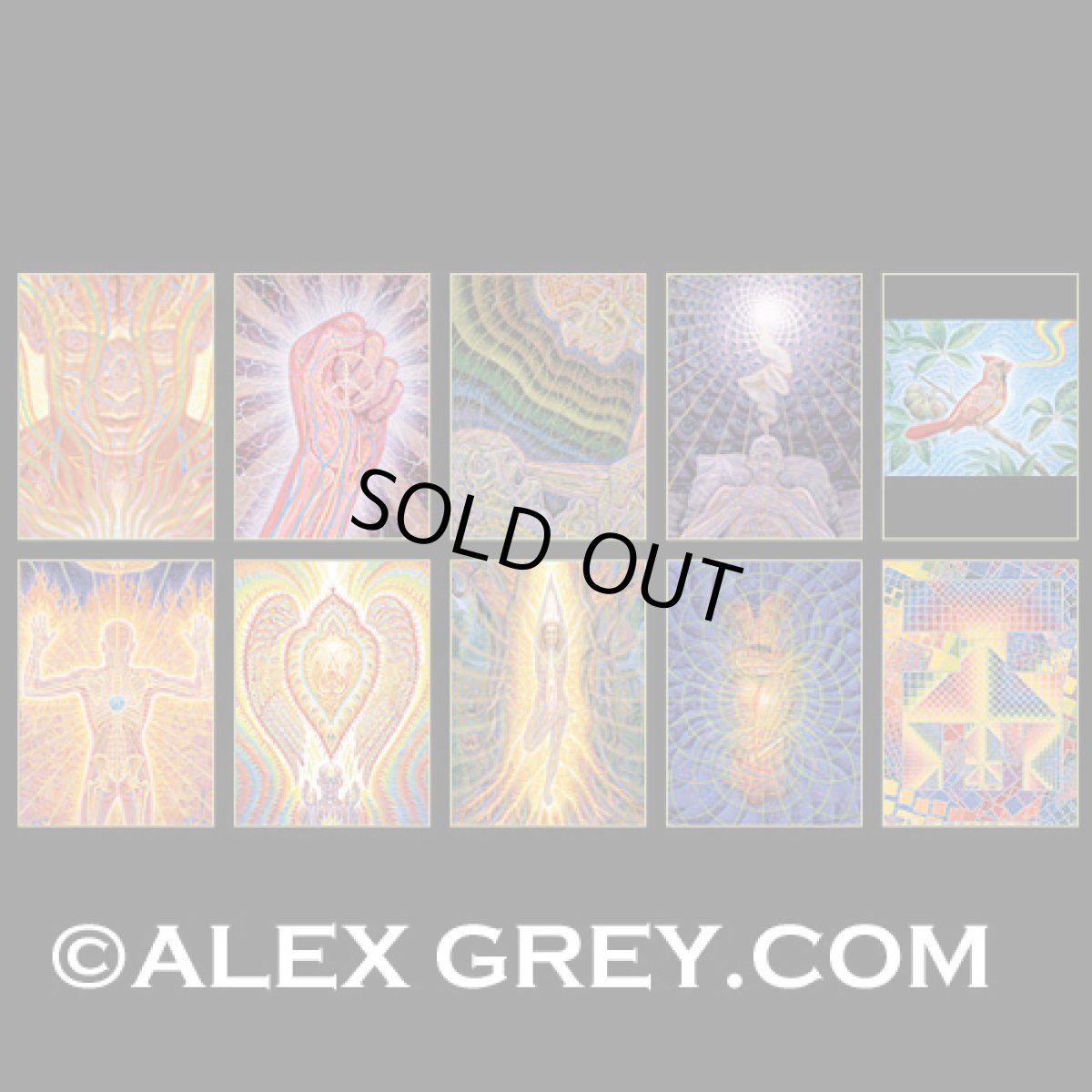 画像1: ALEX GREY ポストカード・10枚セットC (1)